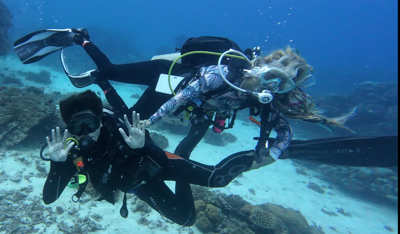 Reef Turtle Dive Center - Siquijor Island